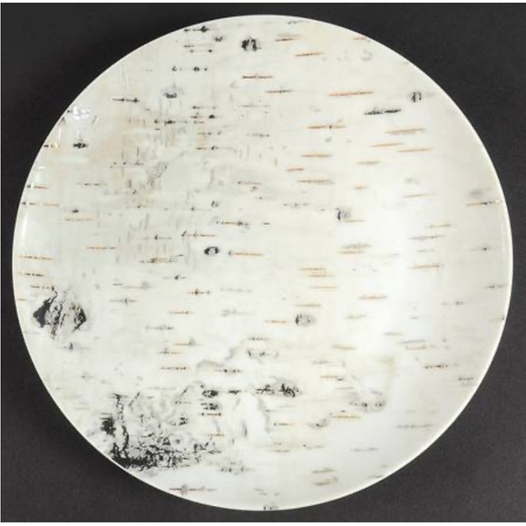 Pottery Barn Other - $25 Pottery Barn 8" Birch bark nature Ceramic Salad Dessert Appetizer Plate
